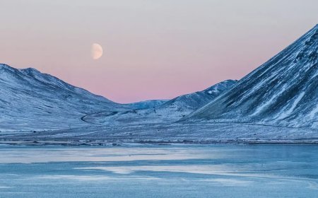 Arktik Bölgesi ekstrem bir hava dönemine girdi: "Geri dönmek çok zor"