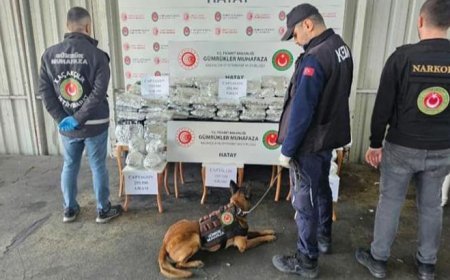 İskenderun Limanı’nda uyuşturucu operasyonu! 1 milyon 392 bin hap ele geçirildi
