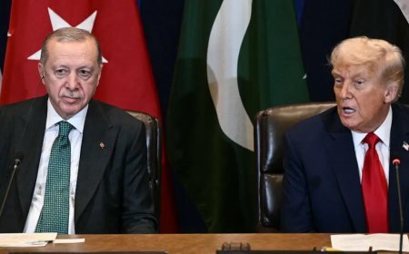 Cumhurbaşkanı Erdoğan, Trump ile görüştü