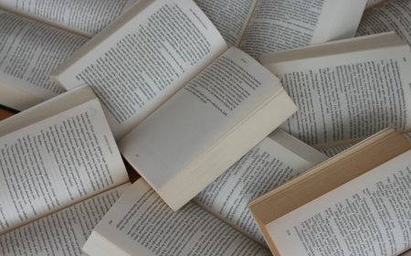 Yapay zeka firmasının gizli projesi ortaya çıktı. Milyonlarca kitap kesilip imha edilmiş