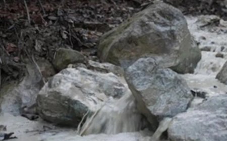 Bursa'da çevre felaketi