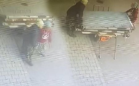 Güneş panelleri 2 kadın tarafından çalındı! Hırsızlık anı saniye saniye kamerada