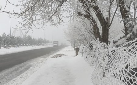 Eksi 25 derecede hayat durdu. Kentte her şey dondu