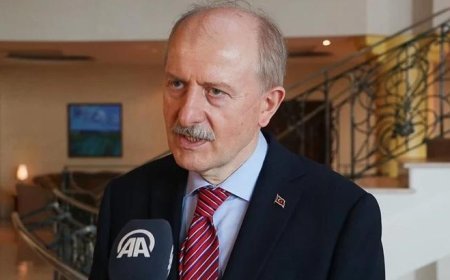 Cumhurbaşkanlığı Başdanışmanlığı'na Hasan Suver atandı