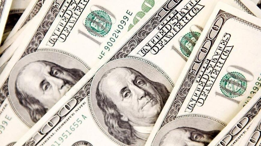 Dolar endeksi 2017'den bu yana en hızlı düşüşünü kaydetti