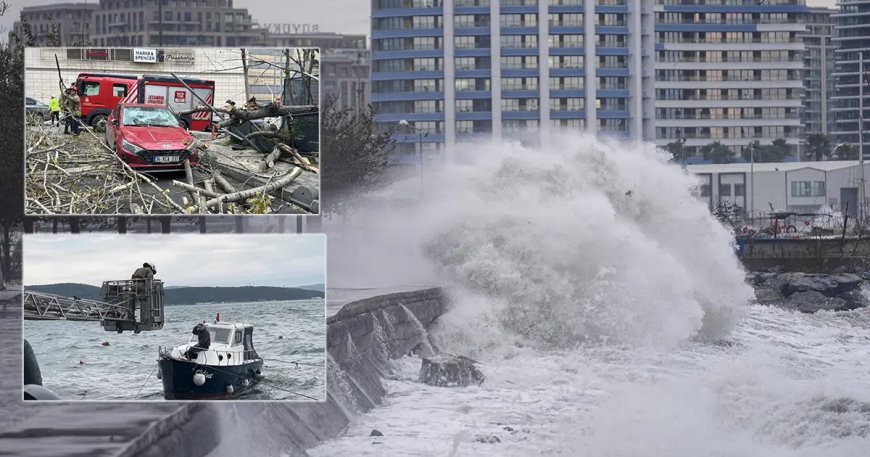 İstanbul'da lodos kabusu. Ağaçlar ve tekneler devrildi, dev dalgalar sahilleri dövdü