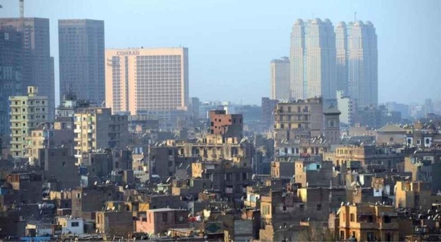 Bir ülkeyi istila ettiler, aynı türden Türkiye'de de var! Uzmanlar uyardı: Özellikle bu bölgelerde çoğalıyorlar