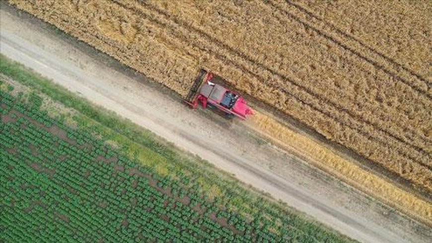 Tarıma dayalı projelerin tamamlanma tarihi belli oldu