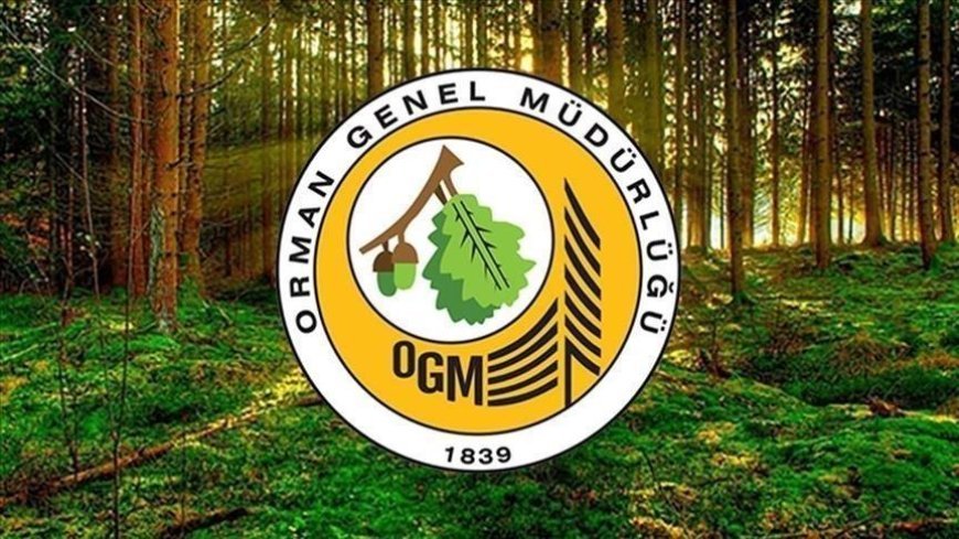 Orman kadastrosu ve 2B uygulamalarına ilişkin esaslar düzenlendi