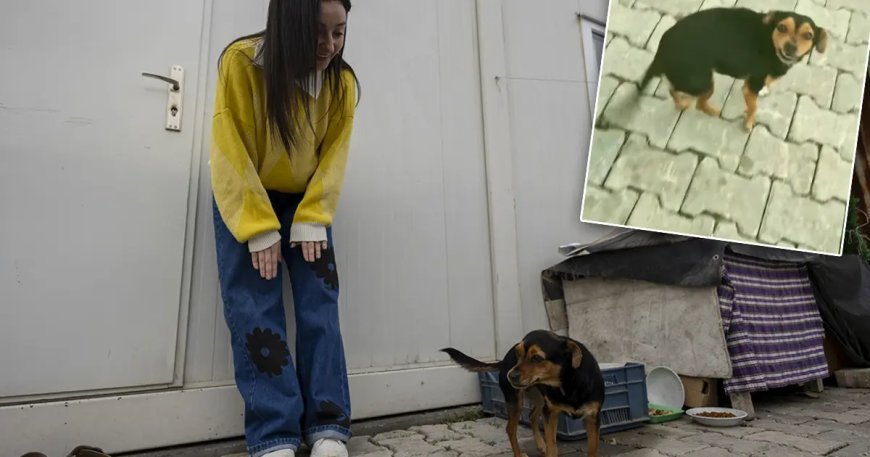 Bu video 30 milyon izlendi. "Hanimiş benim tontişim" ile tanınıyor