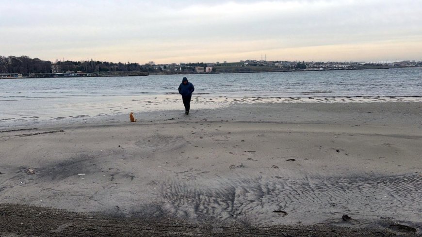 Tekirdağ'da deniz 50 metre çekildi