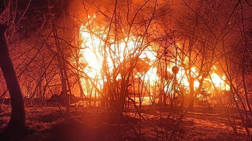 Ordu'da esrarengiz ölüm! Yanan evinin yakınında ağaca asılı halde bulundu