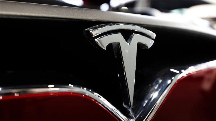 AB'de Tesla satışları düşüyor
