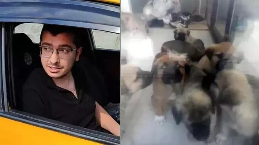 İstinaf, sahiplendiği köpekleri istismar edip öldürmekle suçlanan doktor hakkında verilen kararı bozdu