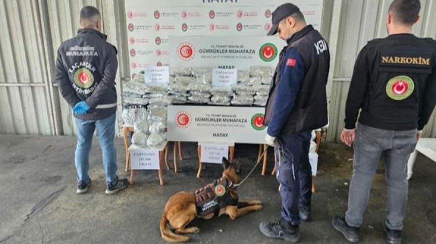 İskenderun Limanı’nda uyuşturucu operasyonu! 1 milyon 392 bin hap ele geçirildi