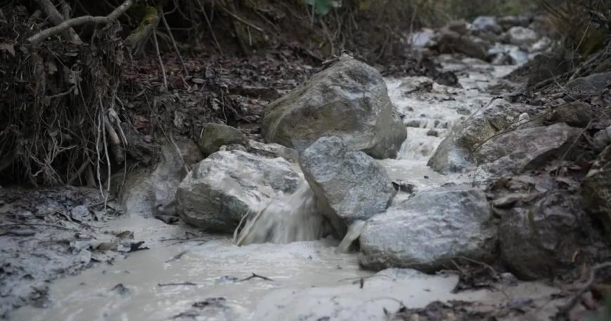 Bursa'da çevre felaketi. Maden atık barajı çöktü, kimyasal maddeler su ve toprağa karıştı