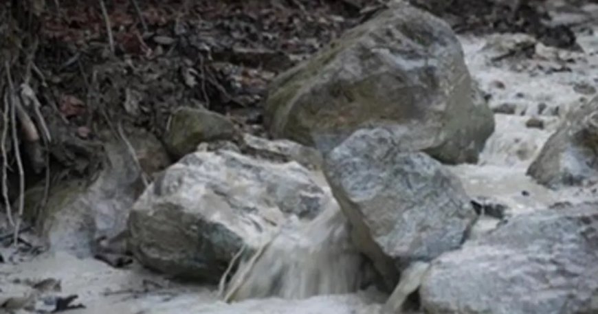 Bursa'da çevre felaketi