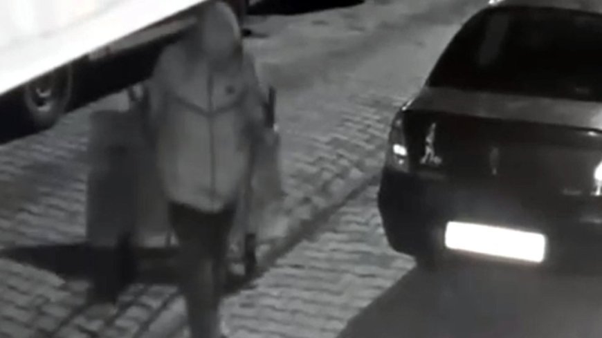 El arabası ile dondurma dolabını çaldı; o anlar kamerada