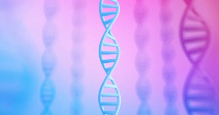 AlphaGenome: Google'dan insanın "karanlık genomunu" aydınlatacak yapay zeka aracı