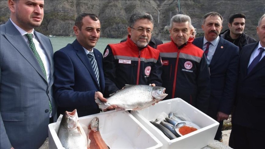 '2025 yılında su ürünlerinden ülkemiz 2,3 milyar dolarlık bir ihracat rakamına ulaştı'