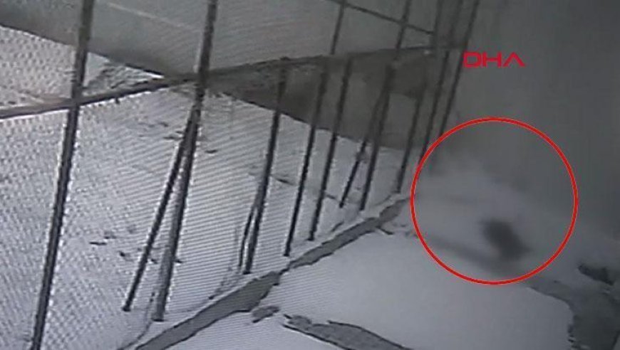 Cam silerken hayatını kaybetti! Öğretmenin düştüğü anlar kamerada