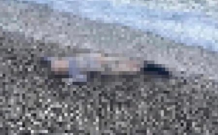 İzmir'de sahile vurmuş bir çocuk cesedi bulundu