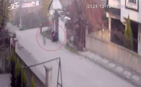 Bebek arabasından 2 milyon liralık altın çaldı