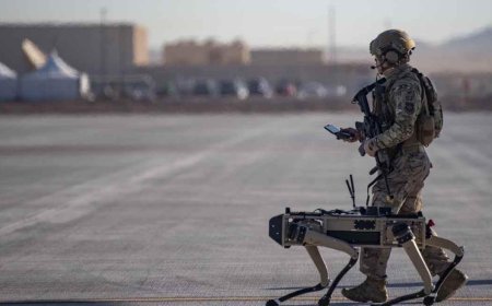 Balkan ülkesinden orduya robot takviyesi! 'Bir sonraki geçiş töreninde binlercesi olacak'