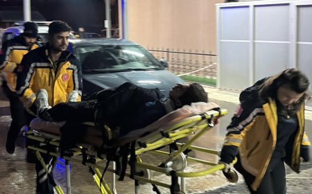 Bariyere çarpan otomobilin, ehliyetsiz sürücüsü yaralandı