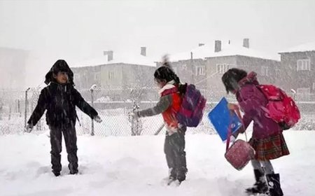 Ardahan'da eğitime kar engeli