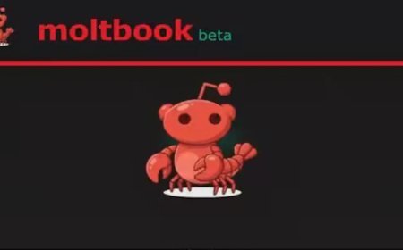 Yapay zekaların sosyalleştiği yer: Moltbook ne kadar gerçek ve ne kadar güvenli?