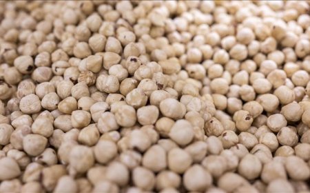 Türkiye fındık ihracatından 973 milyon dolar gelir sağladı