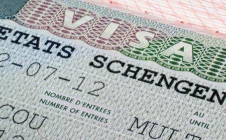 SON DAKİKA HABERLER: Bu 6 meslekten birine sahip olana 'vizesiz kalış' müjdesi! AB kapılarını ardına kadar açacak