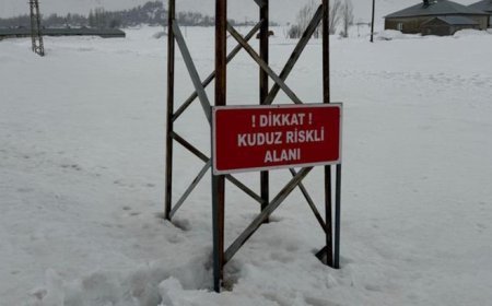 Hakkari'de kuduz alarmı! Bir köy karantinaya alındı, ekipler teyakkuzda