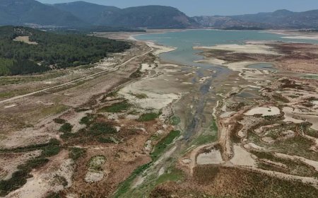 İzmir'in barajlarından iyi haber