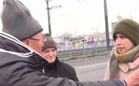 Galata Köprüsü'nde akılalmaz olay! "Veganım" diyerek balıkları denize döktü