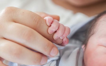 Düşük doğum oranına karşı skandal öneri! 'Yabancı kadın ithal edelim' dedi, partiden ihraç edildi