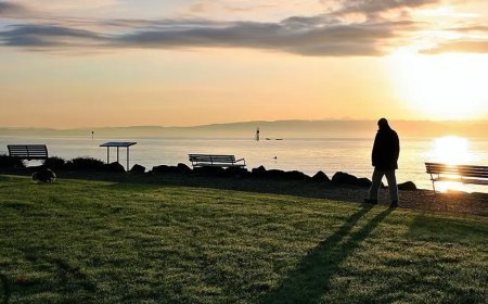 En yalnız meslekler belli oldu: 14 saati yalnız geçiriyorlar