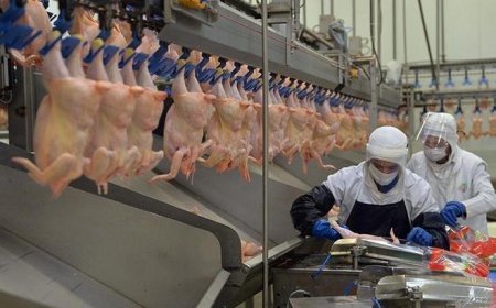 ‘Zarar içeriden fiyat düşmez’