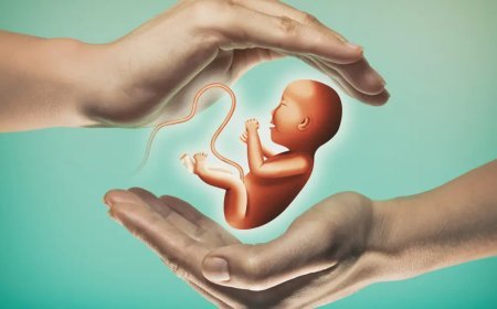 Tüp bebek tedavisinde şartlar değişiyor. Devlet desteği artacak, yaş sınırı değişecek