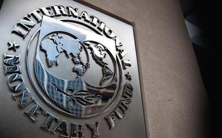 IMF: Türkiye'nin dezenflasyon programı başarılar gösterdi