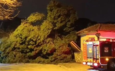 Meteoroloji uyarmıştı! Manisa’da kuvvetli fırtına hayatı olumsuz etkiledi