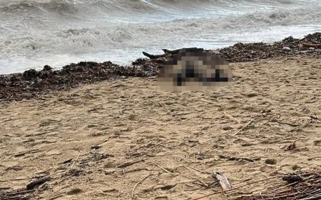 Sarımsaklı sahiline kadın cesedi vurdu