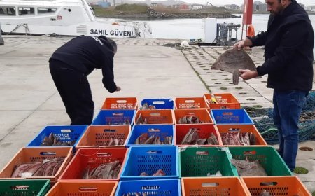 Kaçak avlanan 850 kilogram kalkan balığına el konuldu. 5 kişiye 905 bin TL ceza