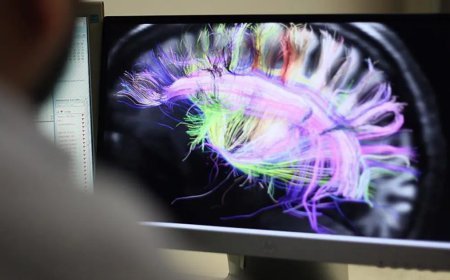 Bencilliğin çaresi bulunmuş olabilir: Beyinde gama senkronizasyonu