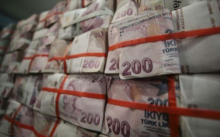 Türkiye'nin yurt dışındaki girişim sayısı arttı