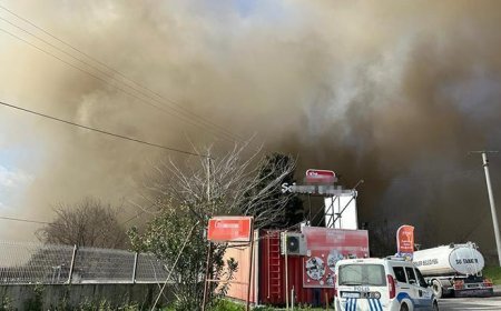 Sakarya’da şekerleme fabrikasında yangın