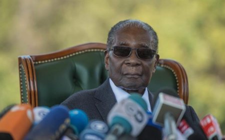Eski Zimbabve lideri Mugabe'nin oğlu, Güney Afrika'da cinayete teşebbüsten gözaltına alındı