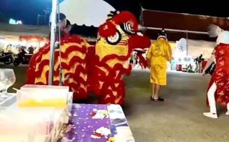 Polisten 'aslan dansı' kostümlü operasyon! Azılı hırsız yakayı böyle ele verdi