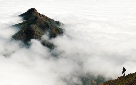 Dağın zirvesinde esrarengiz ölüm! Sır perdesi bir yıl sonra aralandı: 'Baş aşağı asılı halde bulundu'